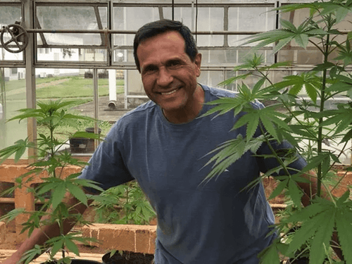 Professor in charge of cannabis genetic bank answers questions about market monopoly