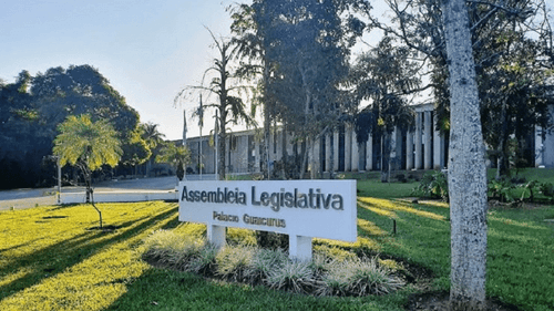 Proyecto de Ley podría garantizar acceso a medicamentos a base de cannabis en MS