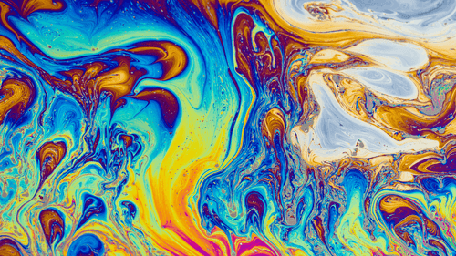 Imagem da noticia: Harvard debate legalização de psicodélicos com foco em regulação e evidências científicas