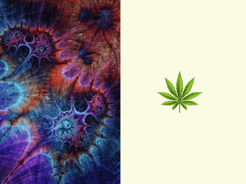 Psicodélicos x cannabis: qual é melhor para a saúde mental?