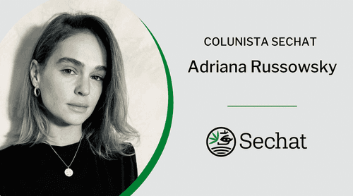 Quais Flores esperar na Colheita Brasileira: Overview da plantação de 2022