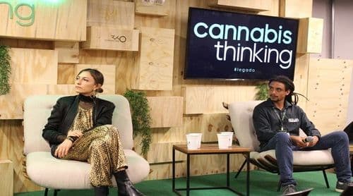Qualidade de cultivo e dos produtos é tema no cannabis thinking