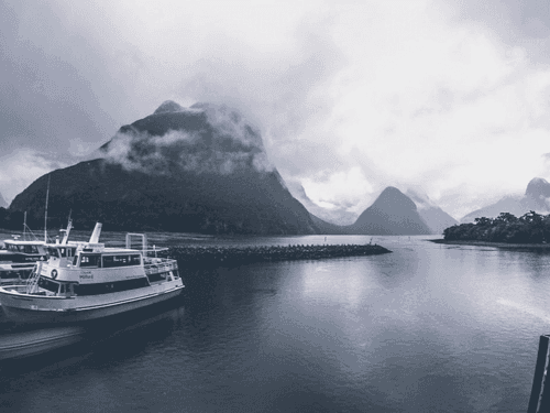 Reforma histórica na Nova Zelândia abre caminho para a exportação de cannabis medicinal