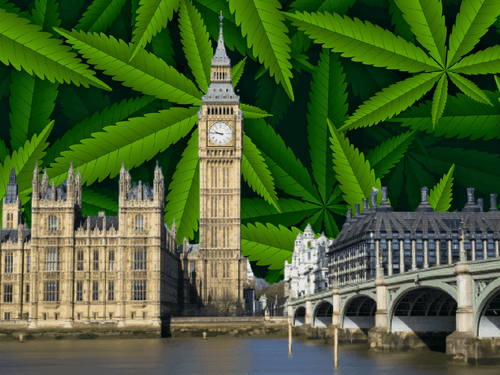 Reino Unido redefine padrões de segurança do CBD