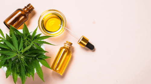 Imagem da noticia: OAB/SC promueve debate sobre cannabis medicinal