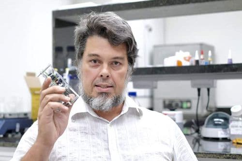 Saiba como a UFRN está desenvolvendo um sólido programa de pesquisa sobre Cannabis numa fase pré-clínica