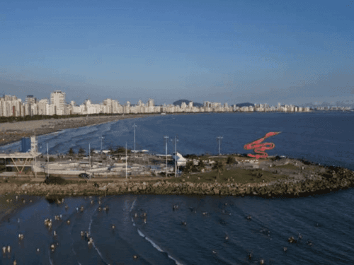 Santos aprova lei para fornecimento de cannabis medicinal no SUS