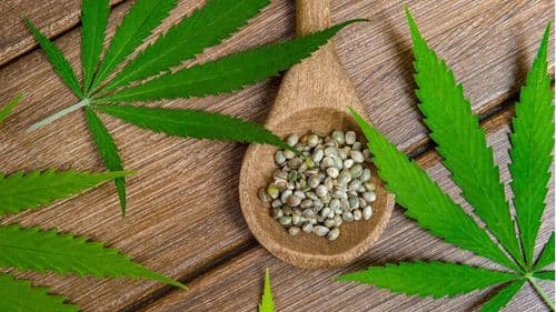 Antes do produto eficaz, uma semente de excelência