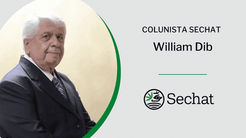 Serviço público e a judicialização da cannabis medicinal