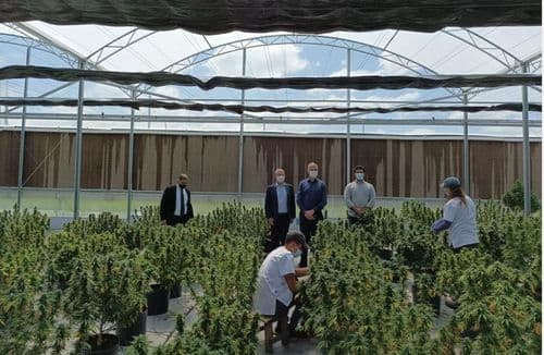 Startup Brasileira-Uruguaia quer ser a primeira a ser avaliada em US$ 1 bi na bolsa