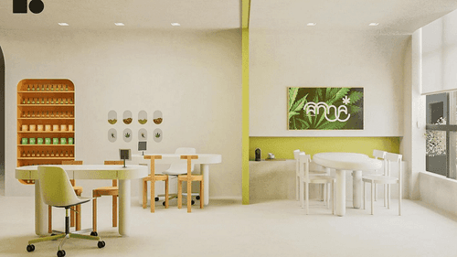 Startup promete espaço físico para tratamento com cannabis na Santa Casa de Curitiba