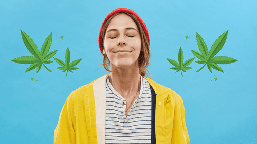 Terpenos atraem mais usuários de cannabis do que canabinoides, diz estudo