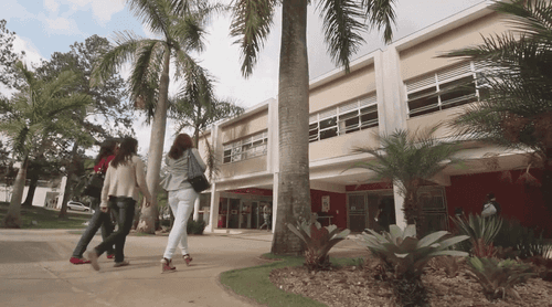 UFJF promove palestra sobre tratamento do câncer de mama com canabinóides