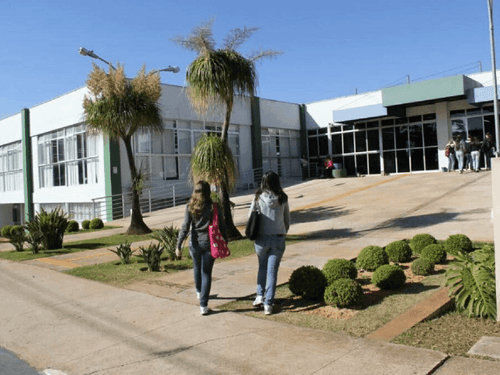 UFLA inicia pesquisa para combater insetos e ácaros no cultivo de cannabis