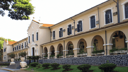 USP busca voluntárias para pesquisa com canabidiol para endometriose