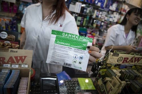 UY: Venda de maconha em farmácias em 2023 deve superar 2022