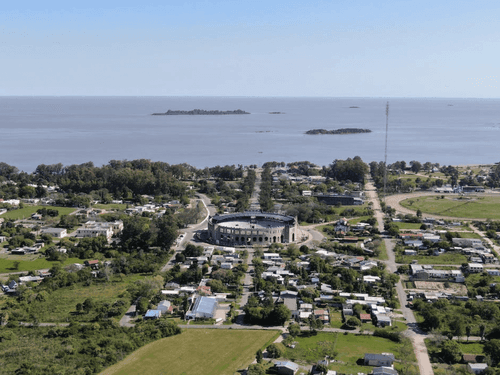 Uruguai: comércio legal de maconha supera 10 toneladas em seis anos