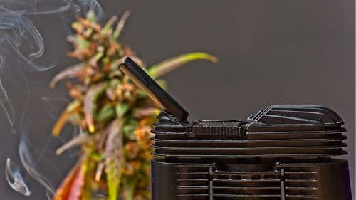 Imagem da noticia: Mercado de vaporizadores de cannabis deve saltar para US$ 17,11 bilhões até 2032