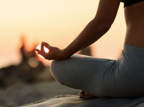 Cannabis y yoga en la modulación del organismo