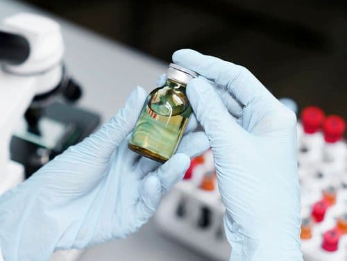 Estudo revela que terpenos são mais eficazes no controle da dor do que a morfina