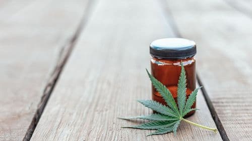 SEX - Proposta de restrição na importação de Cannabis (RDC 660) gera reação no mercado