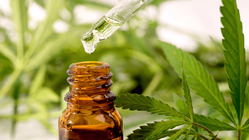 Cannabis medicinal volta ao debate no Tennessee com possível reclassificação