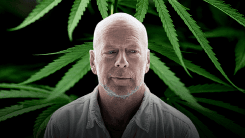 <strong>Cómo la cannabis puede ayudar a Bruce Willis</strong>