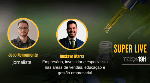 <strong>Live mercado e novos negócios da cannabis no Brasil</strong>