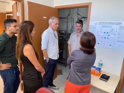 UFRN inicia cultivo de cannabis para pesquisa científica