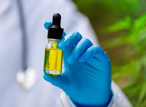 Cannabis no tratamento da hipertensão: estudo aponta resultados promissores