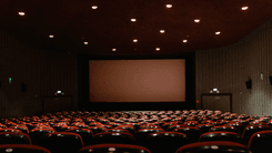Último dia do Festival de Cinema Canábico convida o público a celebrar arte ervoafetiva