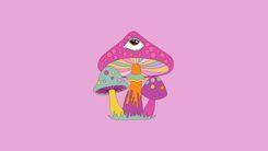 Psychedelics in Brazil: advances, challenges, and what you need to know about regulation