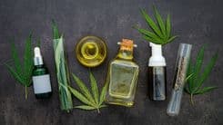 More than 500 companies offer cannabis products to Brazil through importation; products now exceed 600