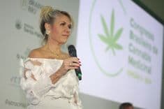 Cannabis pode ajudar no desmame de pacientes polimedicados