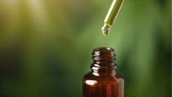 Juiz de Fora promulga lei que autoriza distribuição de medicamentos à base de cannabis