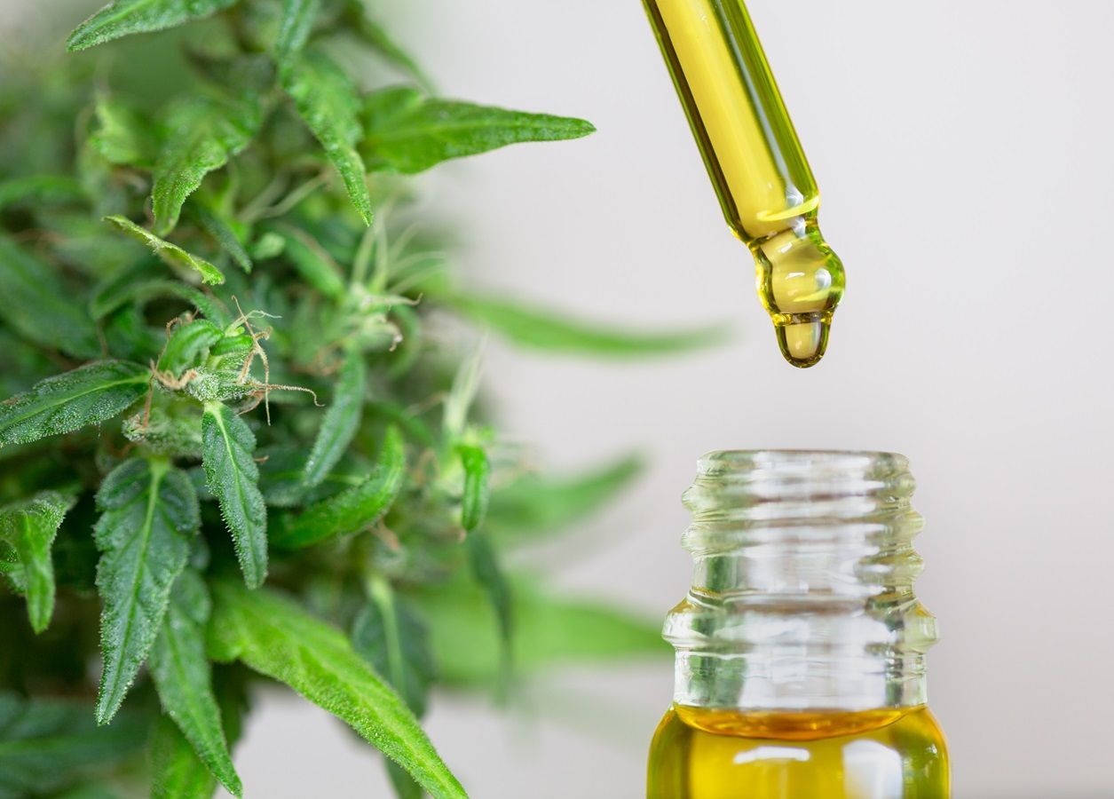 Associação, pacientes, cannabis, medicinal, acesso, série de reportagens, Sechat, maconha