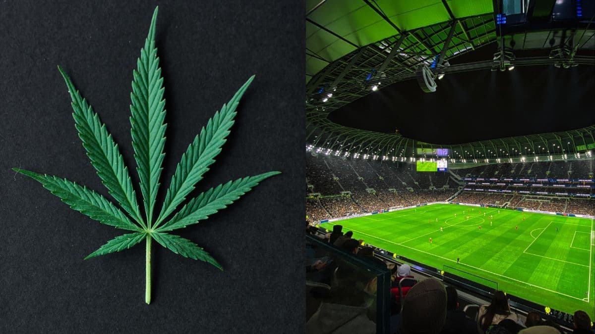 Louisiana endurece regras para consumo de cannabis em áreas escolares e prevê prisão em novos casos