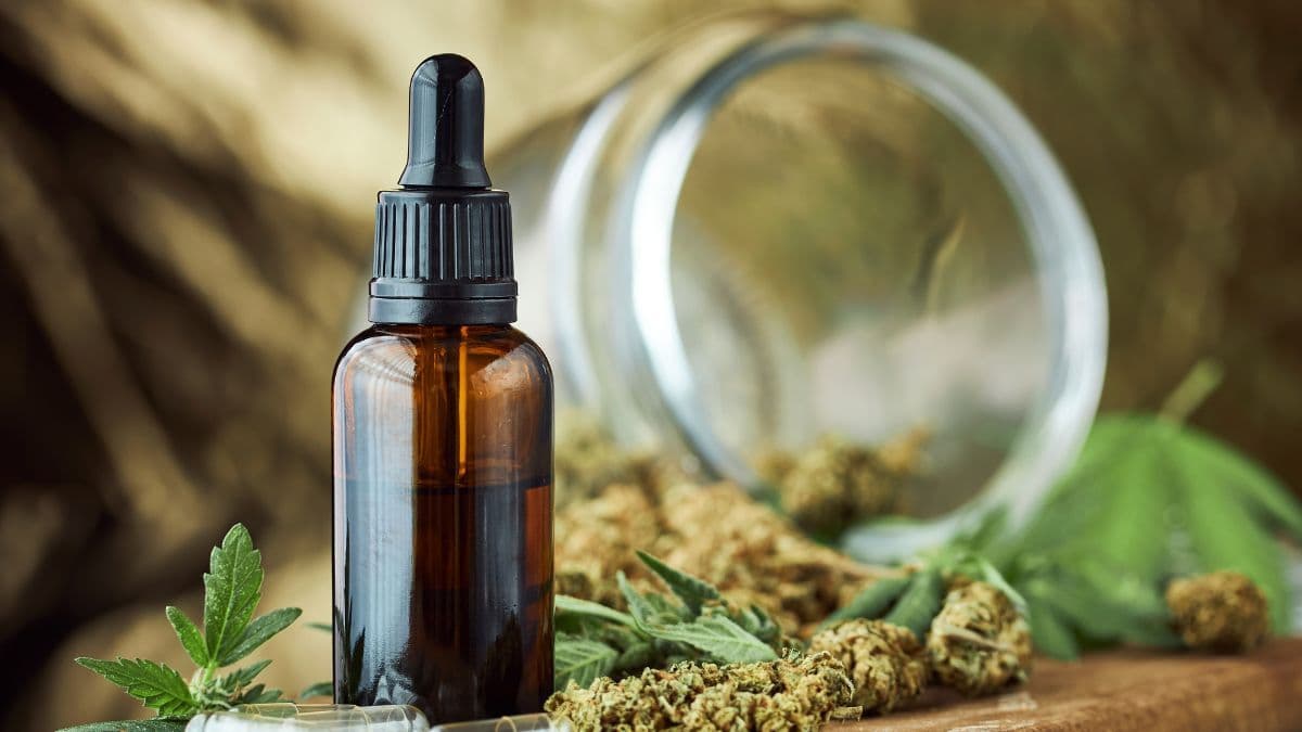 França intensifica controle sobre alimentos com CBD e setor reage com ameaça de ação judicial