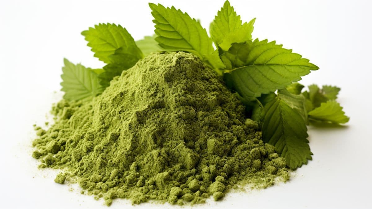 O que é a mitraginina? FDA dá sinal verde para estudo que pode transformar o tratamento da dependência