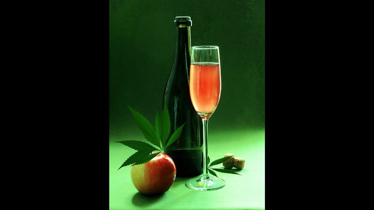 Proposta pode levar bebidas com THC para lojas de bebidas em Nova Jersey