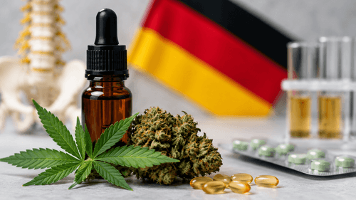 Dr. Pedro Pierro e Fabrício Pamplona analisam aprovação de novo medicamento à base de cannabis na Alemanha