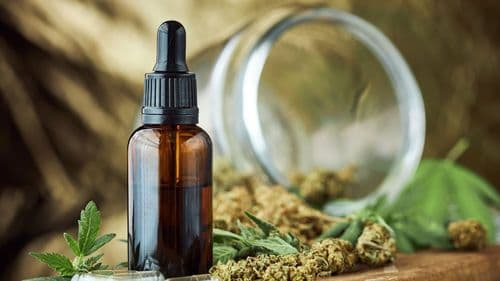 Imagem da noticia: França intensifica controle sobre alimentos com CBD e setor reage com ameaça de ação judicial