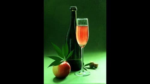 Imagem da noticia: Proposta pode levar bebidas com THC para lojas de bebidas em Nova Jersey