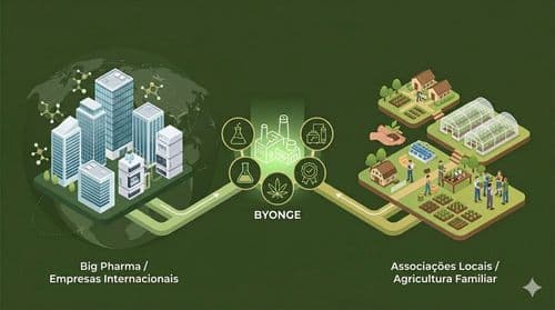 Imagem da noticia: BYONGE abre parcerias para avançar no melhoramento genético e desenvolvimento de novas moléculas de cannabis no Brasil